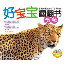 Load image into Gallery viewer, Baby Loves to Read 好宝宝, 翻翻书 (10 Titles)
